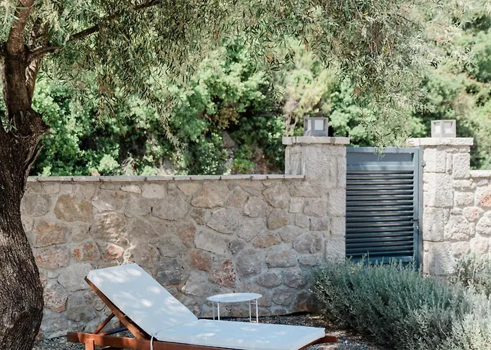 Tempestini Exclusive