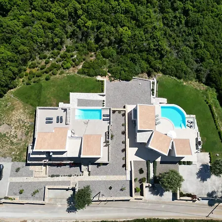 Tempestini Exclusive